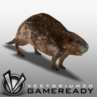 3D Model Download - Low Poly Animals - Beaver
