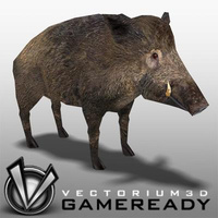 3D Model Download - Low Poly Animals - Boar